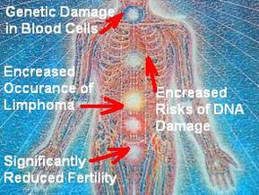 human radiation experiments 4