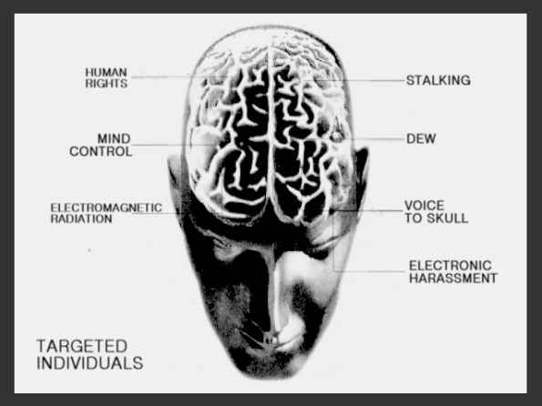 PICS - targeted individuals